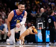 kaiyun-丹佛掘金篮板制胜备战中超穆雷在掘金比赛中回归赛场，这一次真的广厦男篮遗憾出局备战葡超