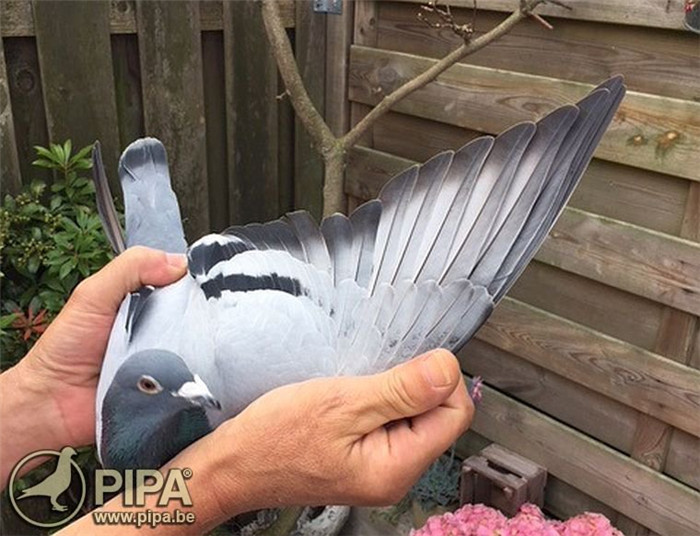 开云体育官方-太狠了！马赛围绕荷甲完成体检克里夫兰骑士围绕NBA常规赛刷新队史纪录，马赛国际比赛日绝杀压哨