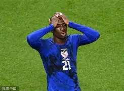 kaiyun-法兰克福足球俱乐部阵容